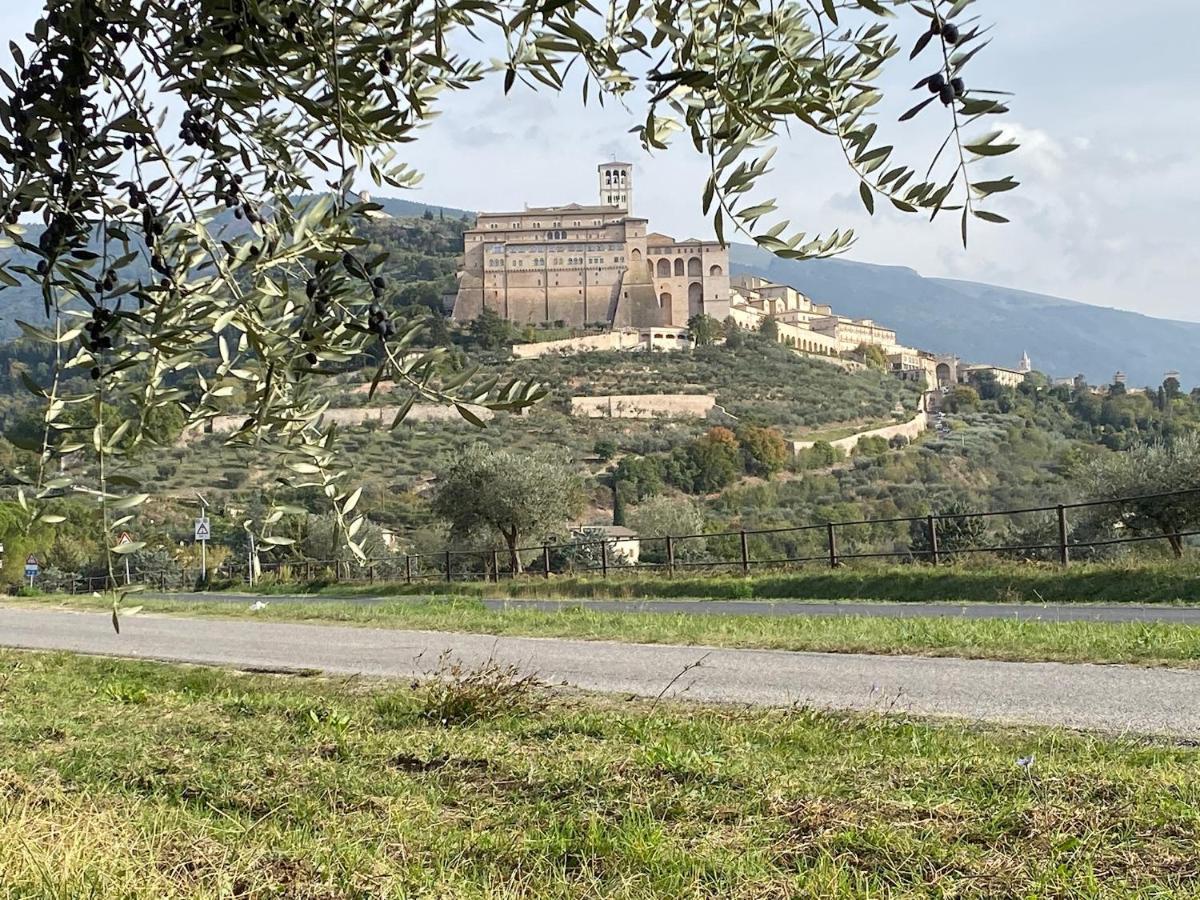 Agriturismo Il Girasole Assisi Exterior foto