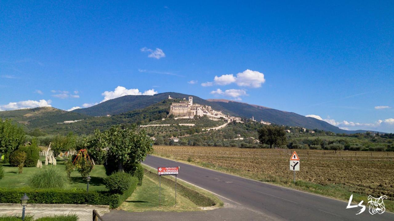 Agriturismo Il Girasole Assisi Exterior foto